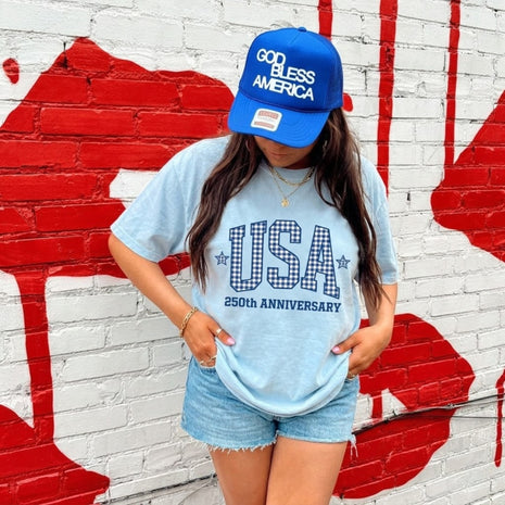 USA 250th Anniversary Gingham T-shirt
