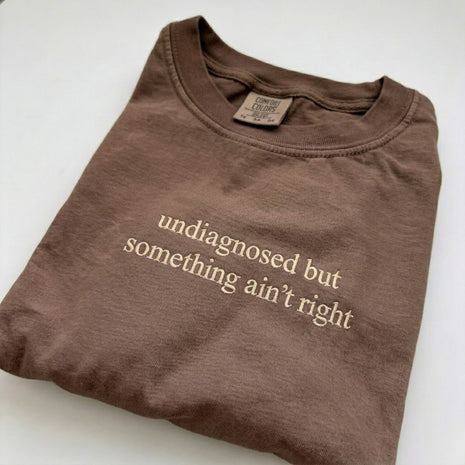 Embroidered Undiagnosed But Something Ain't Right T-shirt