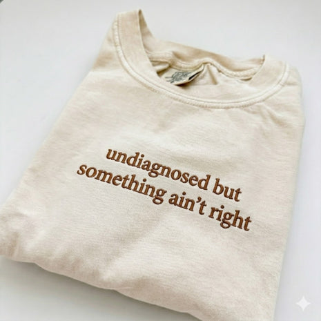 Embroidered Undiagnosed But Something Ain't Right T-shirt