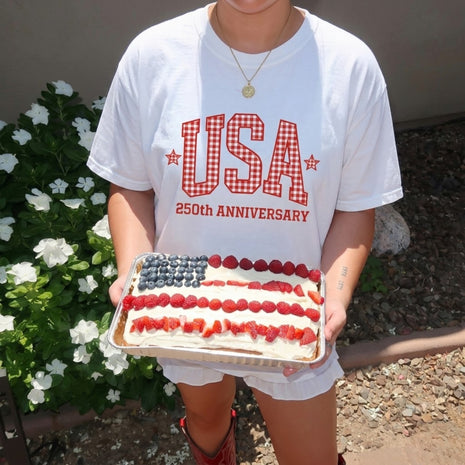 USA 250th Anniversary Gingham T-shirt