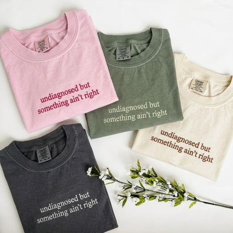 Embroidered Undiagnosed But Something Ain't Right T-shirt