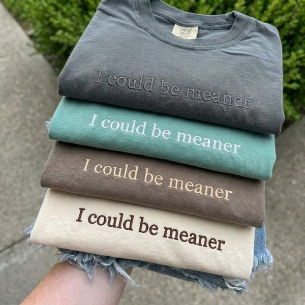 Embroidered I Could Be Meaner T-shirt